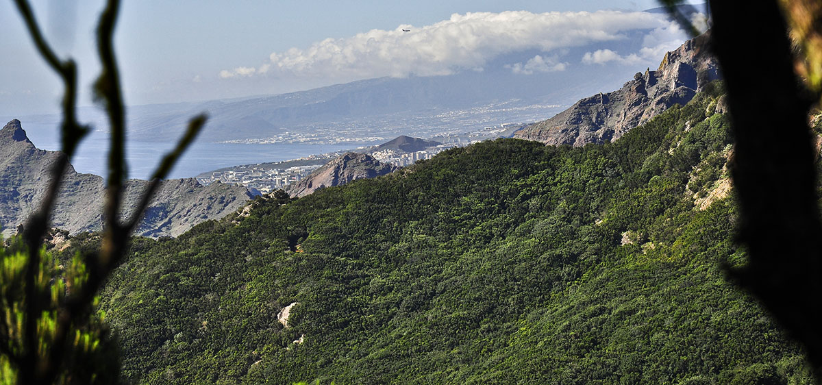 Blick nach Santa Cruz