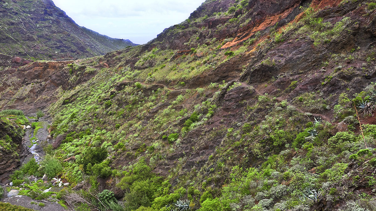 Barranco Tamadite