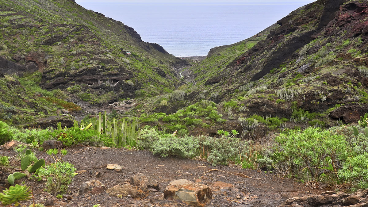 Playa Tamadite